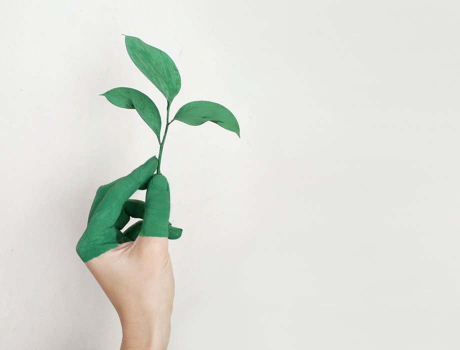 26 climate technology start-ups win place on COP26 funding programme