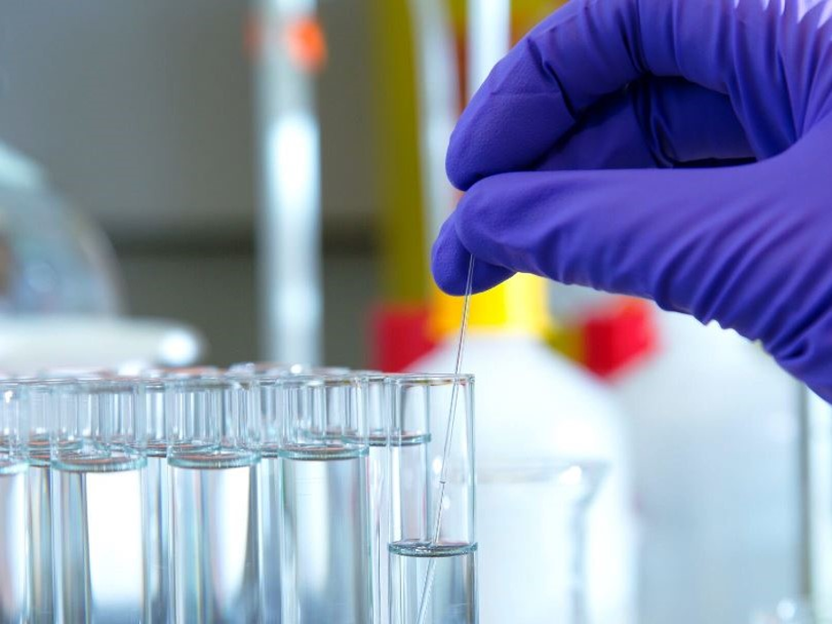 Food Allergy Group raises £1.25 million to continue expansion plans